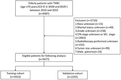 Risk Stratification Model for Predicting the Overall Survival of Elderly Triple-Negative Breast Cancer Patients: A Population-Based Study